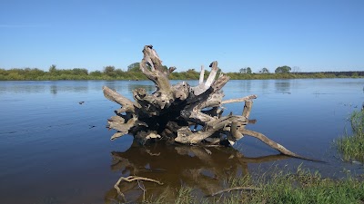 Photos of Park Otdykha