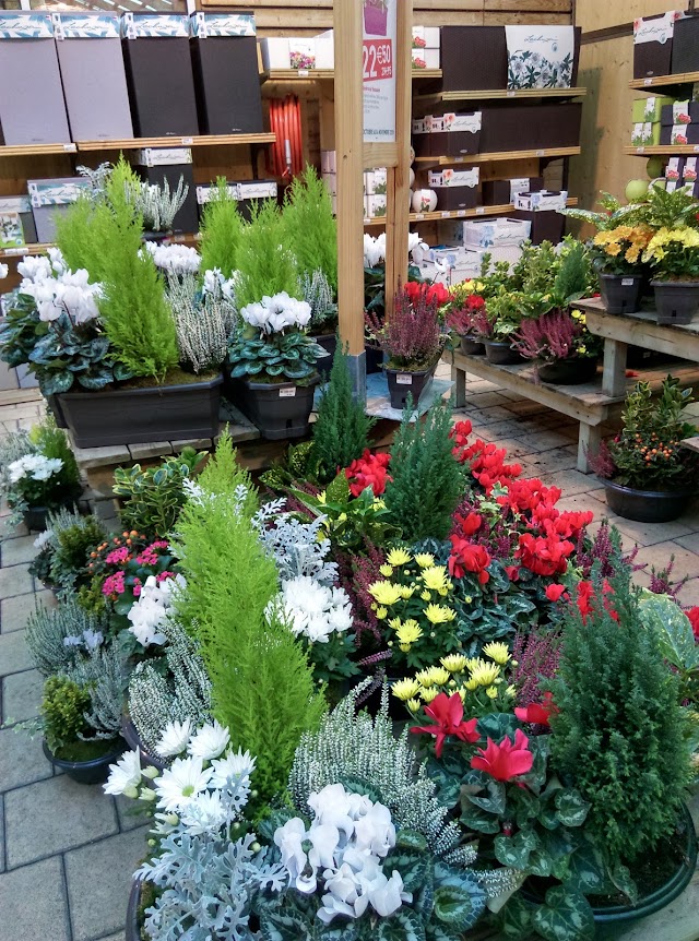 Botanic