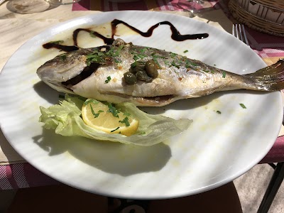Photos of Restaurant in Peschici - the Hunter B & B