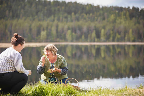 Essense of Lapland by null