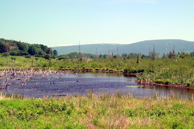 National Wildlife Refuge Parking Area