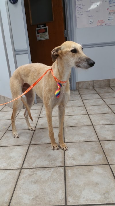 Photos of Freeland Animal Hospital