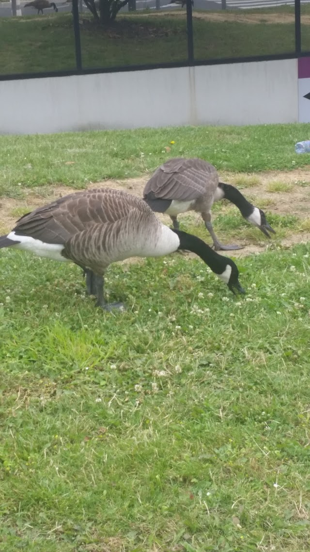 Parc d'Affaires International Paris Nord 2