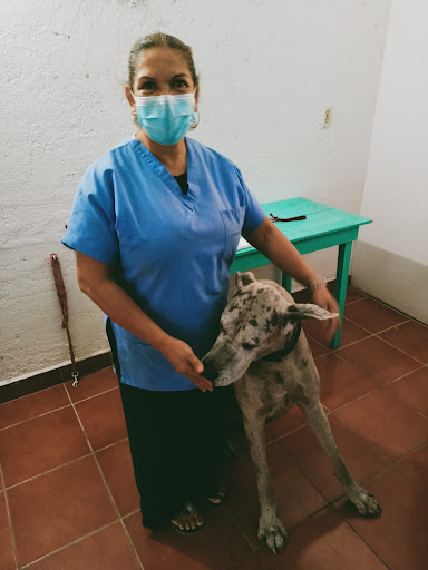 Dunia Veterinario