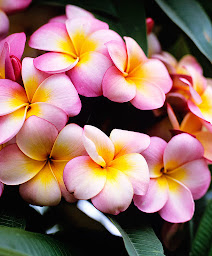 Photo n°6 de M Comme Massages - Massages pour Femme, Enfant et Duo à Beynes (Programme de bien-être)