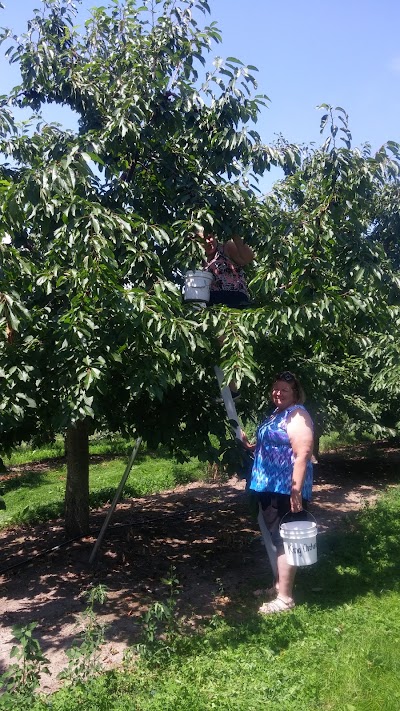 Photos of King Orchards
