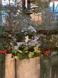 隠れ家的ヒーリングエステ SALON de LUNE（サロンドルネ）