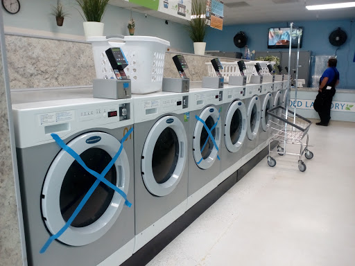 QED Laundry - Visual