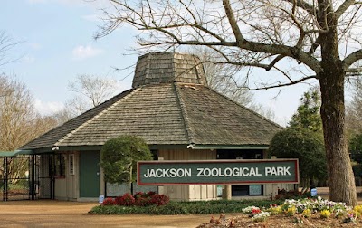 The Jackson Zoo