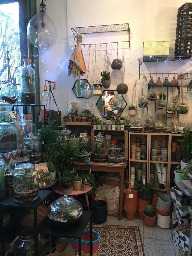 ADELAIDE AVRIL TERRARIUM