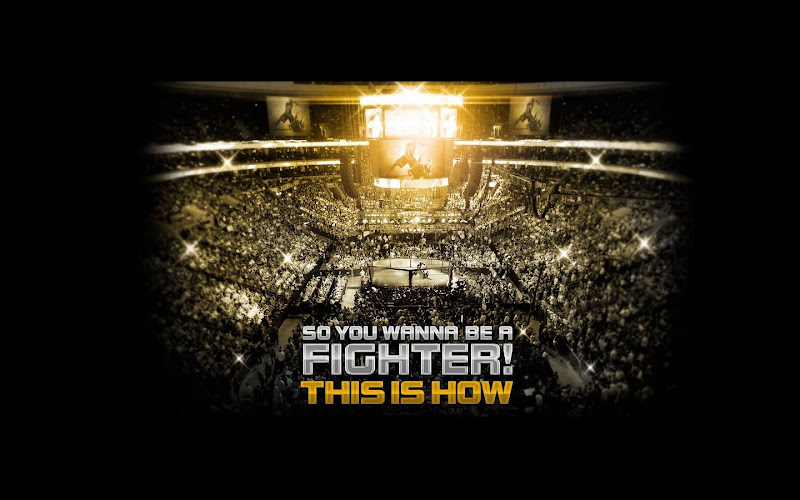 Art of MMA Braunschweig