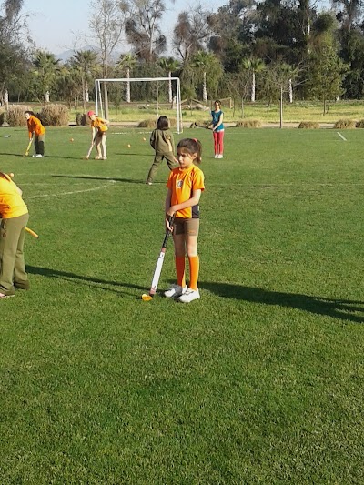 Photos of Colegio Trebulco School