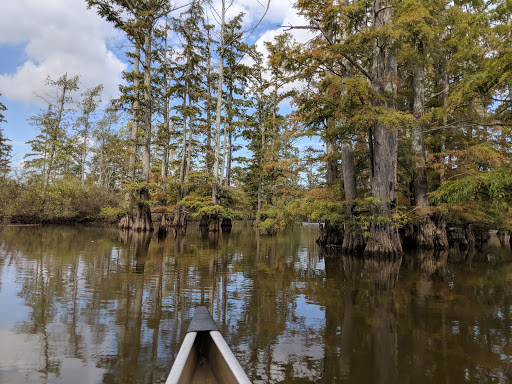 Barkhausen Cache River Wetlands Center - Thumbnail