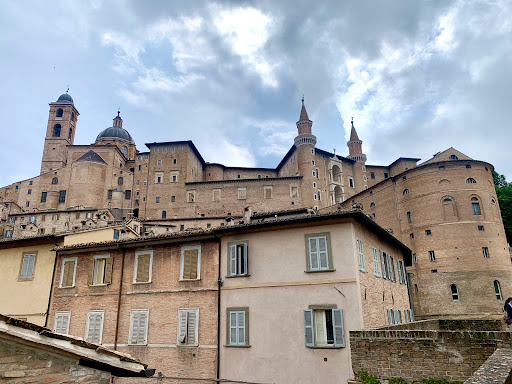 Urbino - Visual