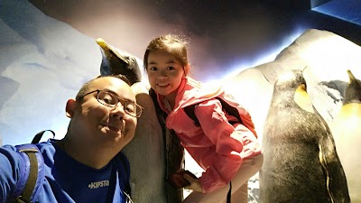 Photos of Penguin Hall