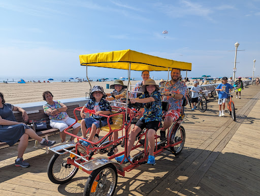 Dandy Don's Bike Rentals & Service - Thumbnail