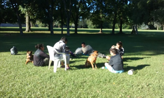 Yeiporá, Centro Integral de Mascotas y Actividades Caninas, Author: Verónica Spina