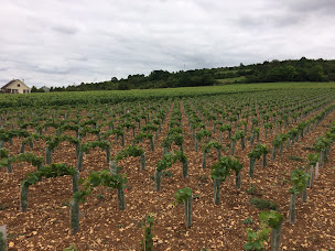 Photo n°7 de Maison Deveney Mars à Puligny-Montrachet (Maison d'hôtes)