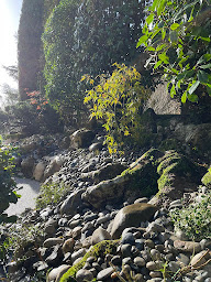 Photo n°17 de Herbert paysage à Balanzac (Paysagiste)