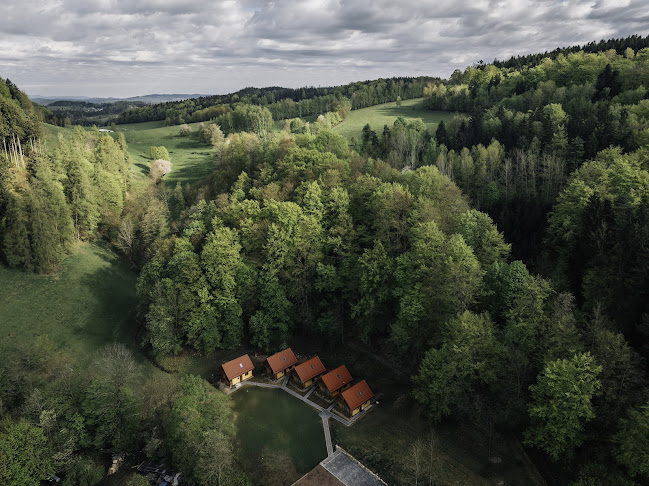 Agroturystyka i Domki Pod Jesionem - Kudowa-Zdrój