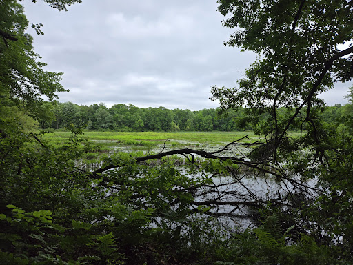 Bath Rd Trailhead - Visual
