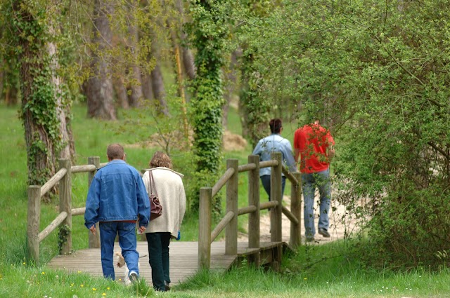 Le Grand Etang de La Jemaye