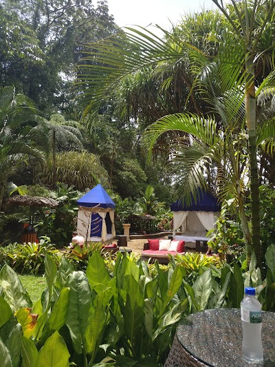 Photos of Tabacon Hot Springs
