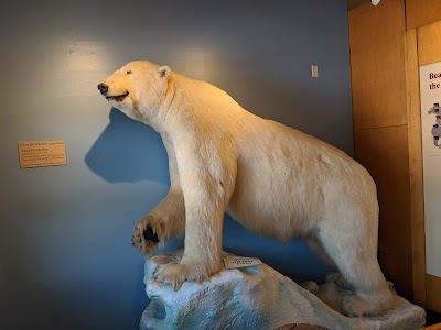 Grizzly & Wolf Discovery Center