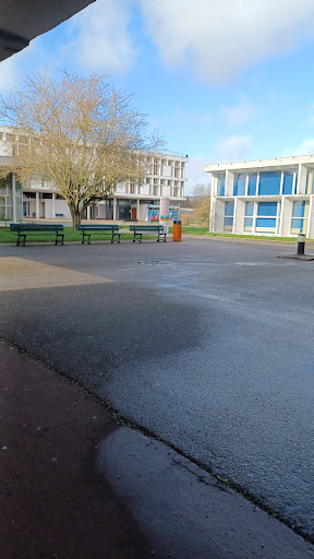 Comprehensive School Rémi Belleau - Thumbnail