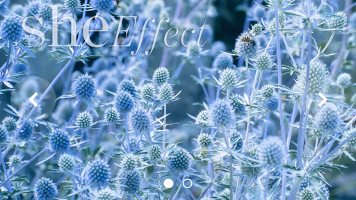 She Effect - Visual