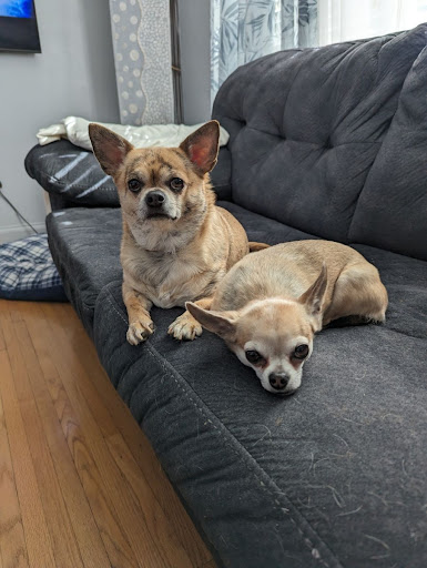 Main West Animal Hospital Gallery - United States