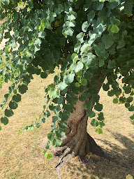 Photo n°13 de Gîte Du Grand Chemin à Saint-Christophe-de-Double (Villa)