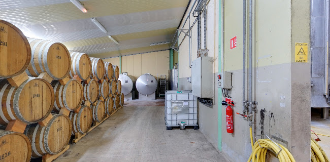 Commentaires et avis sur Les Caves Jules Gautret Saint Sulpice de Royan