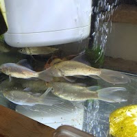 居酒屋 ちょっと