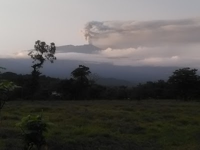 Photos of La Casa de la Tilapia