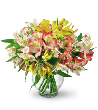 Peachy Petals Flowers & Gifts - Thumbnail