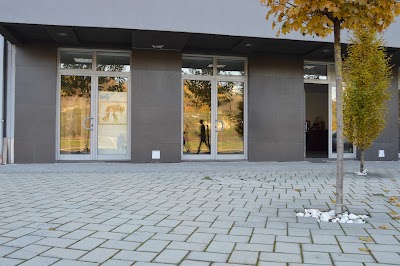 Photos of Svarog Gallery