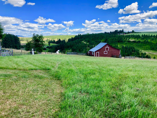 Mindy Vance, Realtor - Thumbnail