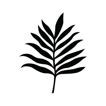 fin salon - Visual