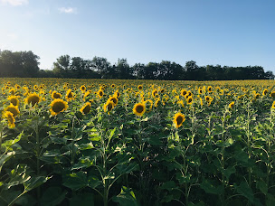 Photo n°7 de Domaine des Gîtes de La Chaume - Séjour au calme avec piscine, idéal pour groupes en Touraine à Descartes (Gîte)