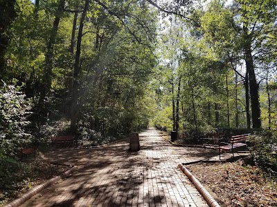 The Grand Promenade