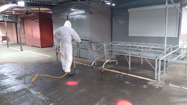 LEWKORP Sprzatanie Domów Mienia Wycinka Drzew Pracę Ogrodowe