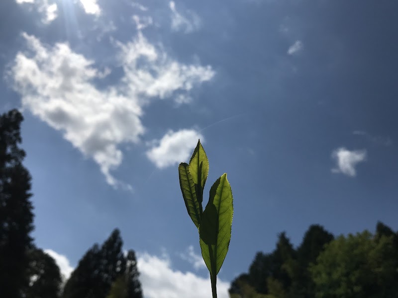 食農保育 風の子の家