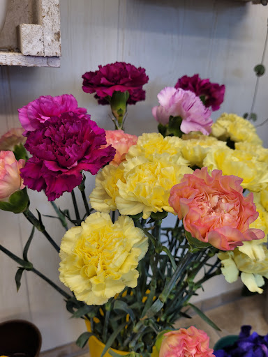 Katja's Blumenkiste - Thumbnail