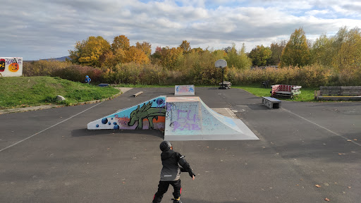 Skatepark Bürgerpark - Visual