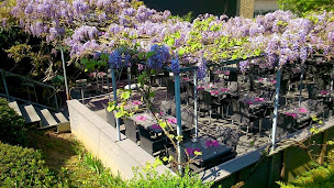 Photo n°17 de Les Marches à Dardilly (Bar à vin)