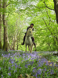 Photo n°3 de Ferme équestre L'écrin de Capucine à Lintot (Centre équestre)