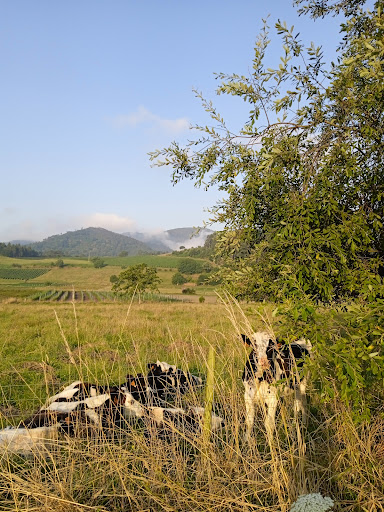 Presa de Arbón - Thumbnail