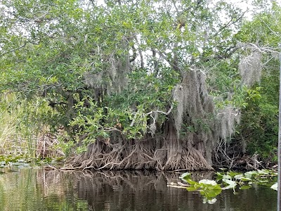 Photos of Everglades Holiday Park