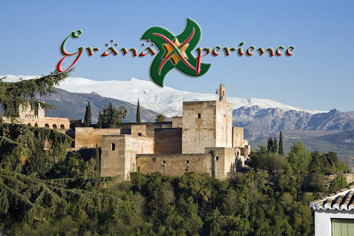 Granaxperience - Visual